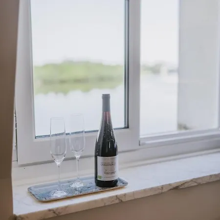 De Prestige Face Loire, Au Pied Du Château Apartamento *