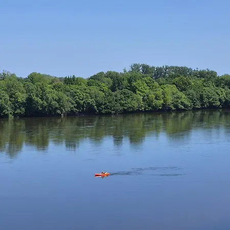 De Prestige Face Loire, Au Pied Du Château Apartamento *